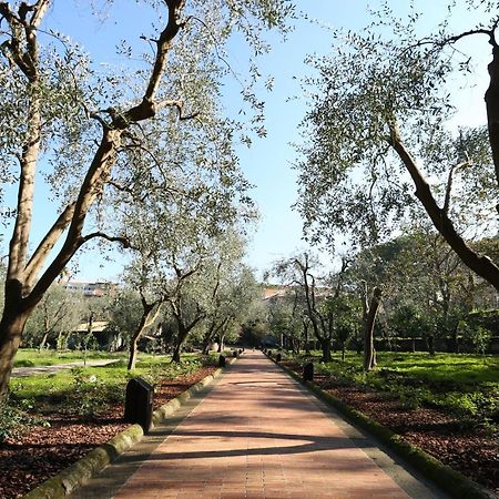 Villa Zagara - La Serra Sorrento Kültér fotó