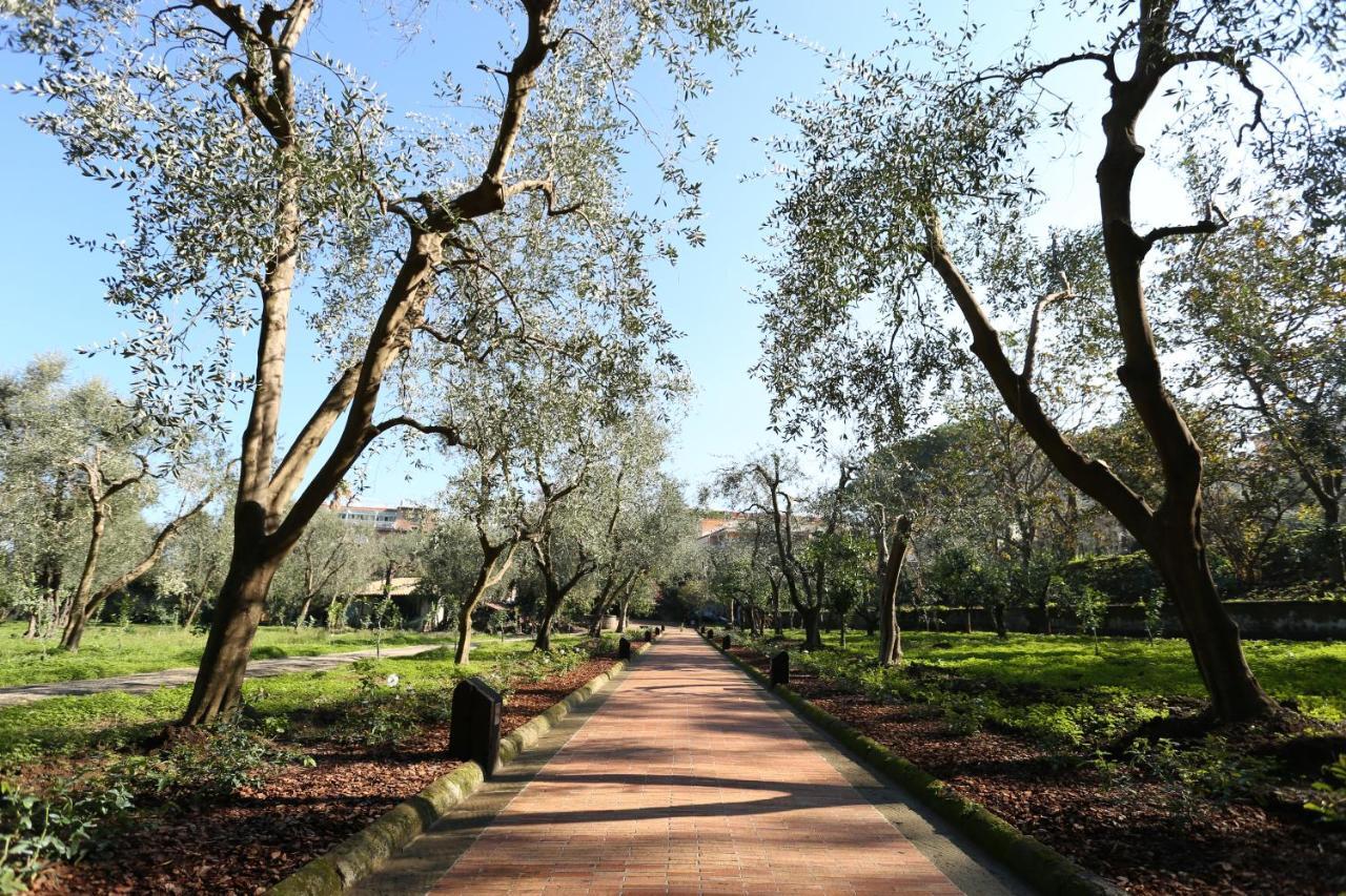 Villa Zagara - La Serra Sorrento Kültér fotó