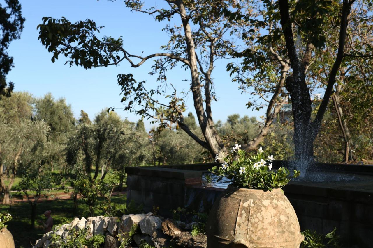 Villa Zagara - La Serra Sorrento Kültér fotó