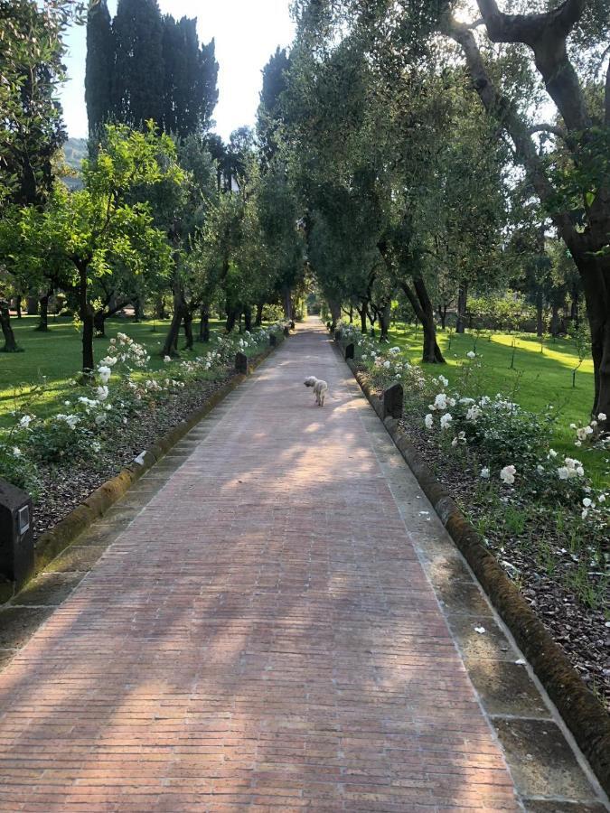 Villa Zagara - La Serra Sorrento Kültér fotó